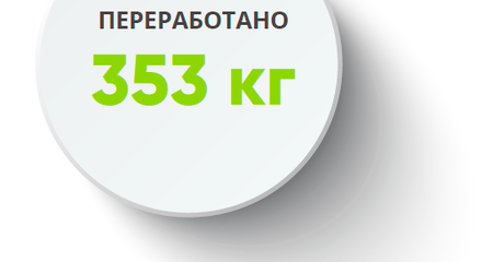 Компания ADMOS в 2019 году спасла 8 деревьев