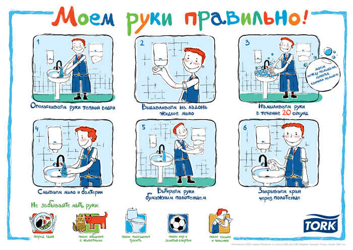 Серия иллюстрированных плакатов для компании Tork