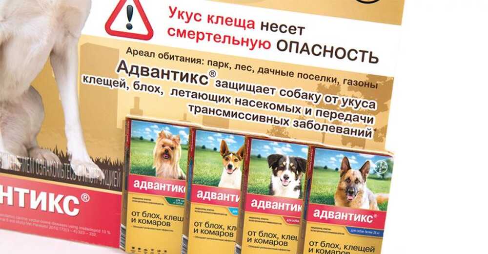 Хард-постер для препарата «Адвантикс»