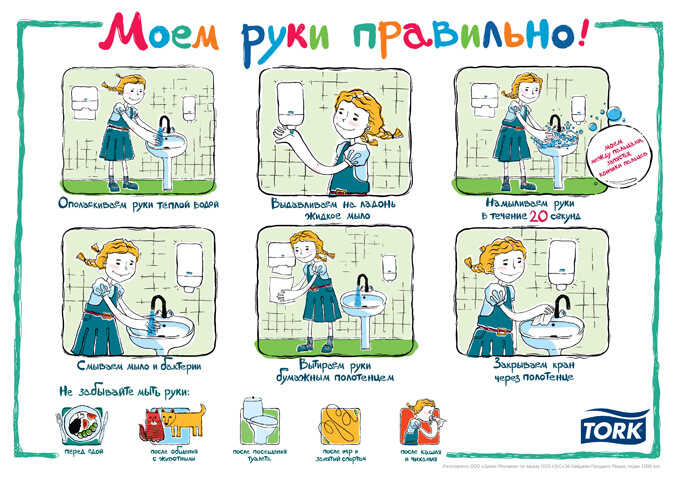 Серия иллюстрированных плакатов для компании Tork