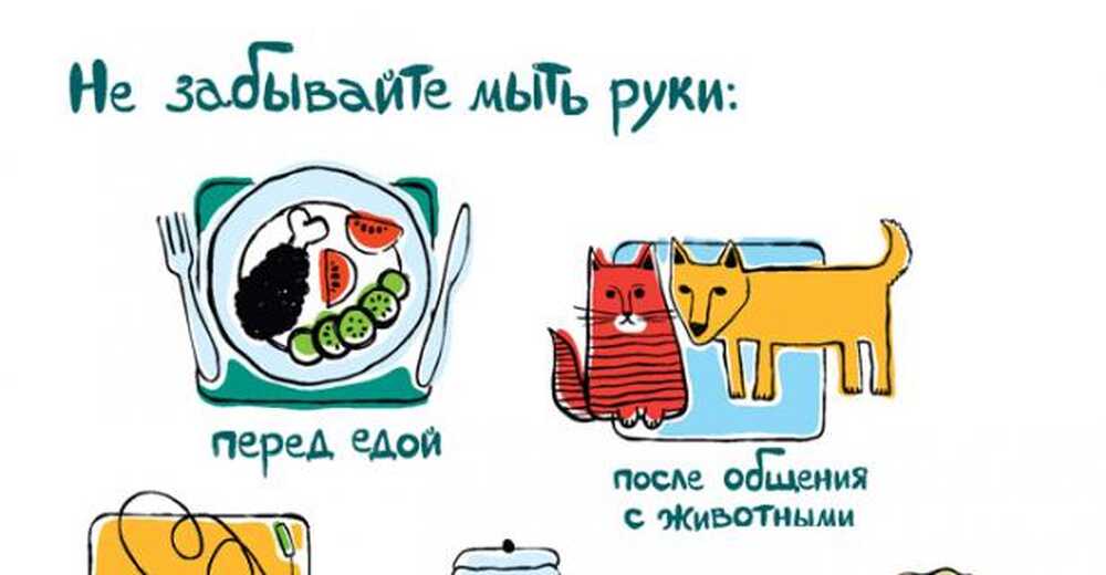 Серия иллюстрированных плакатов для компании Tork