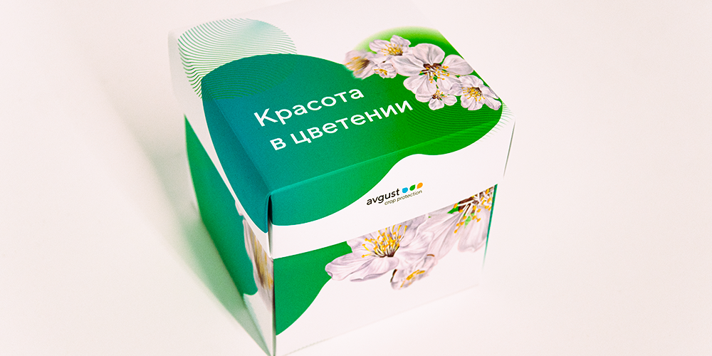 Подарочные наборы Август на 8 Марта с платком