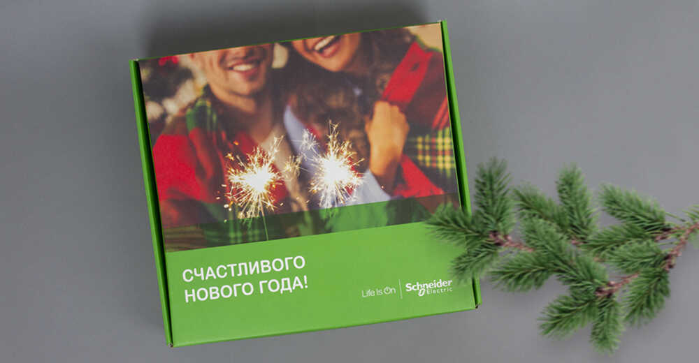 Новогодние бизнес-подарки с логотипом Schneider Electric (Systeme Electric)