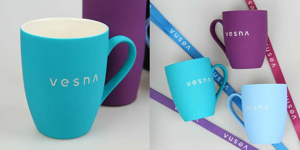Корпоративный мерч компании Vesna