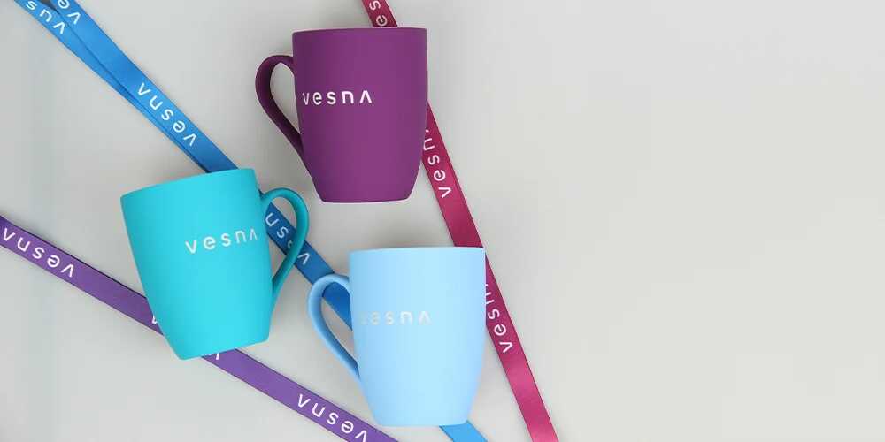 Корпоративный мерч компании Vesna