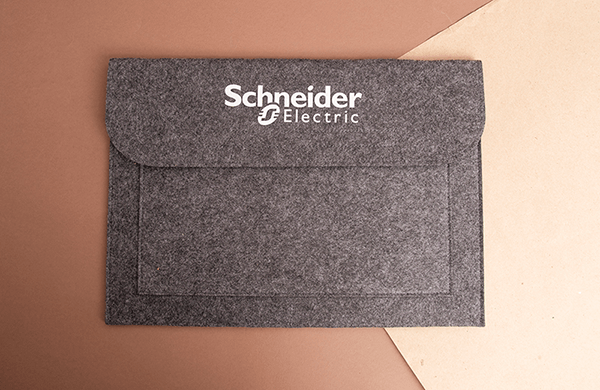Бизнес-сувениры Schneider Electric («Систэм Электрик»)