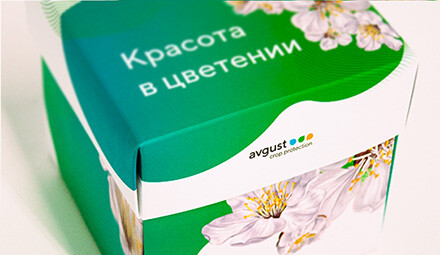 Подарочные наборы Август на 8 Марта с платком