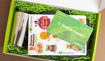 Подарочные наборы Syngenta на Новый год
