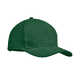 Brushed heavy cotton 6 panel Ba тёмно-зелён
