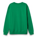 111038142723XL