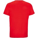 111039811613XL