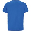 111039812413XL