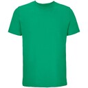 111039812903XL