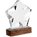 11113095.01