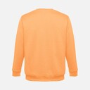 11116275.211