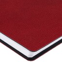 11117283.50
