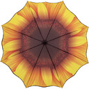 1198-sonnenblumen-design-oben