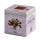 22532601/tulip