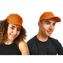 32511101701