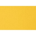 32531005152XL_v2