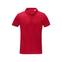 32539094212XL