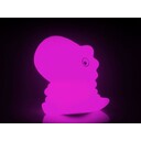 325595560
