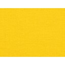 325955123