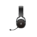 451H8GM-Professional-Edition-Black