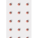 51813535