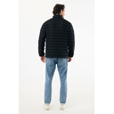 604T1703.001.L