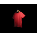 604T4100.008.L