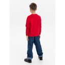 6501310063J_14_6/6 лет