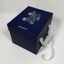 Aeroflot_box2_1000x1000_px_2