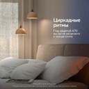 Frame-2131326976
