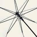 ac-golf-umbrella-&Ouml;kobrella-natural-white-ws-2314_artfarbe_10384_detail_4218_XL