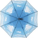 ac-regular-umbrella-fare--nature-black|cloud-design-1193_artfarbe_1053_farbmuster_XL