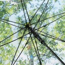 ac-regular-umbrella-fare--nature-black|forest-design-1193_art_249_detail_2078_XL