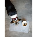 mat_pets_cat_view_3_11