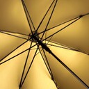 regular-umbrella-fare--doubleface-black|gold-1159_art_8_detail_1856_XL