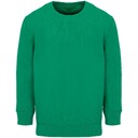 Свитшот детский Columbia Kids, ярко-зеленый, на рост 96-104