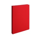 Ежедневник Bplanner.02 недатированный 15х21см (Soft Touch Ultra красный)