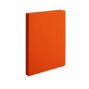 Ежедневник Bplanner.02 недатированный 15х21см (Soft Touch оранжевый)