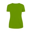 Футболка MODERN ЖЕН 150г О-ворот салатовая 2XL (48-50)