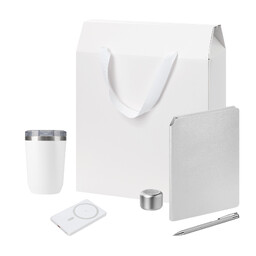 Подарочный набор Велком Пак Премиум (Welcome Pack Premium), серебряный (термокружка, колонка, ежедневник, ручка, ЗУ, коробка-пакет) БЕЛ СЕРЕБРЯН