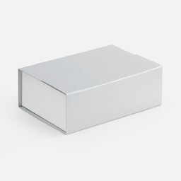 Коробка Bicolor Case, белая с серым