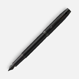 Ручка перьевая Parker IM Achromatic Black, черная