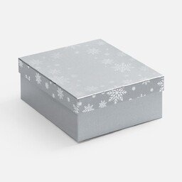 Коробка Wintry, серебристая