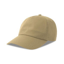 Бейсболка DAD HAT-S, 5 клиньев, металлическая застежка бежев