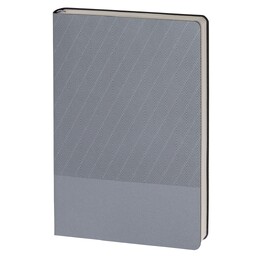 Ежедневник недатированный 15х21 см Rain (Soft Touch Pearl серый)