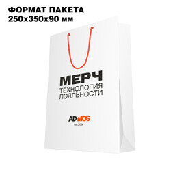 Пакет бумажный средний с печатью (под А4 250*350*90мм)